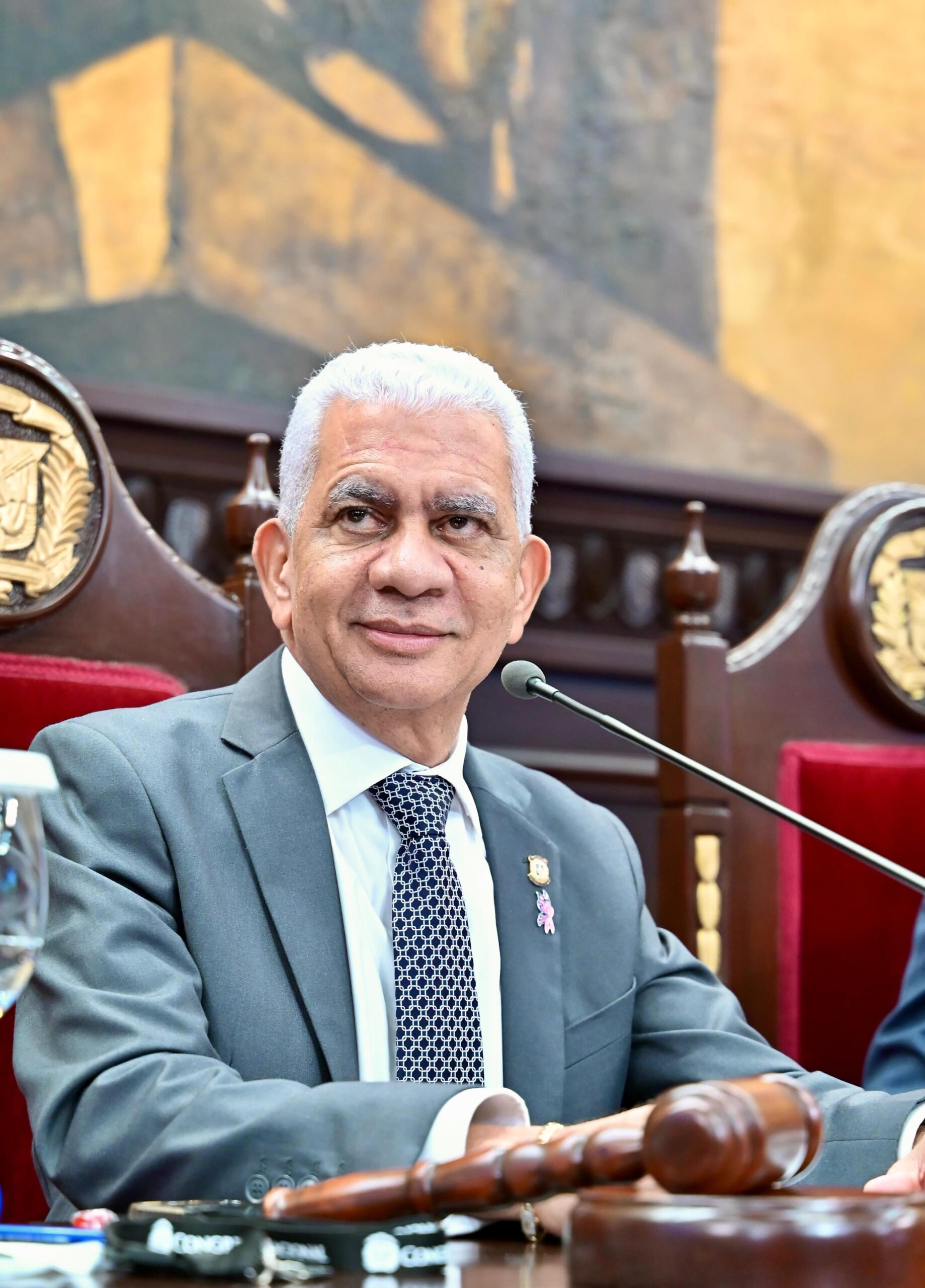 El presidente del Senado da la bienvenida a la nueva embajadora de los Estados Unidos en la República Dominicana